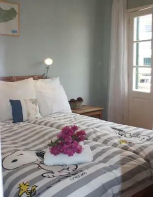 Old Town Penthouse - Barreirinha Apartment Funchal  Luaran gambar